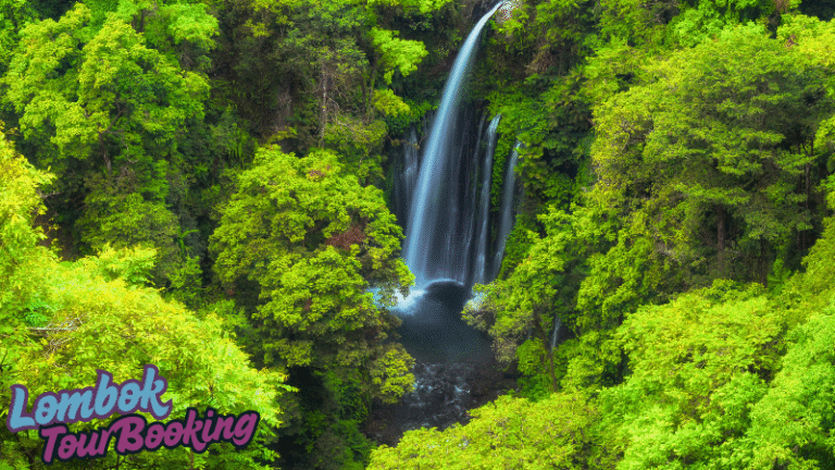 air terjun tiu kelep, air terjun, lombok, 2025, lombok tour booking, pesona lombok, wisata lombok, budaya lombok