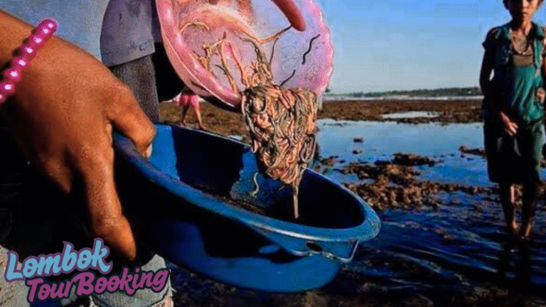 bau nyale, lombok, 2025, lombok tour booking, pesona lombok, wisata lombok, budaya lombok, wisata sakral