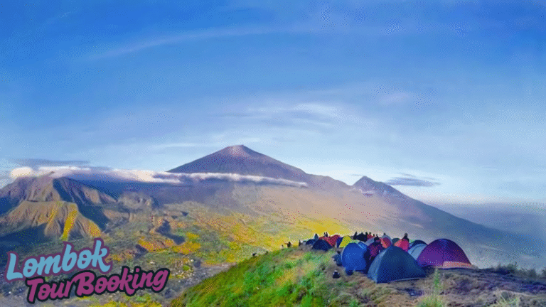 bukit pergasingan, lombok, 2025, lombok tour booking, pesona lombok, wisata lombok, budaya lombok