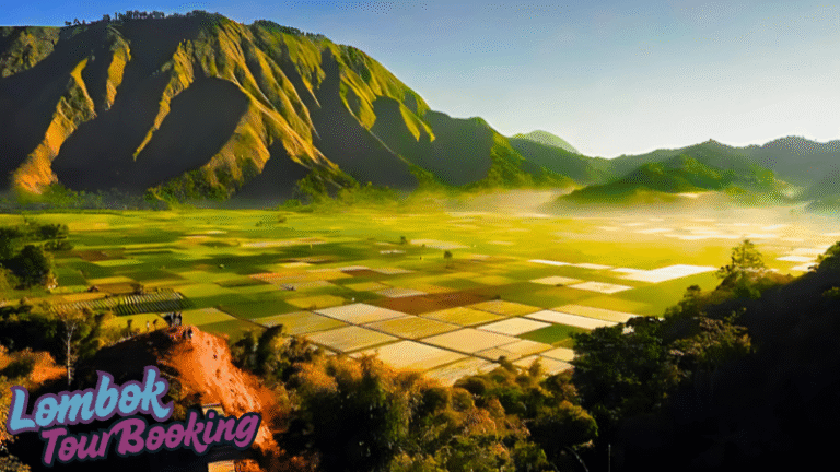 bukit selong, lombok, 2025, lombok tour booking, pesona lombok, wisata lombok, budaya lombok
