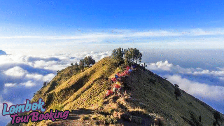 lombok, 2025, lombok tour booking, pesona lombok, wisata lombok, budaya lombok, gunung rinjani