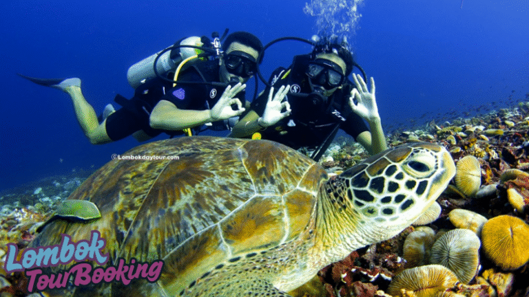 lombok, 2025, lombok tour booking, pesona lombok, wisata lombok, budaya lombok, snorkeling, diving, turtle point, gili meno