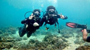 Komodo island