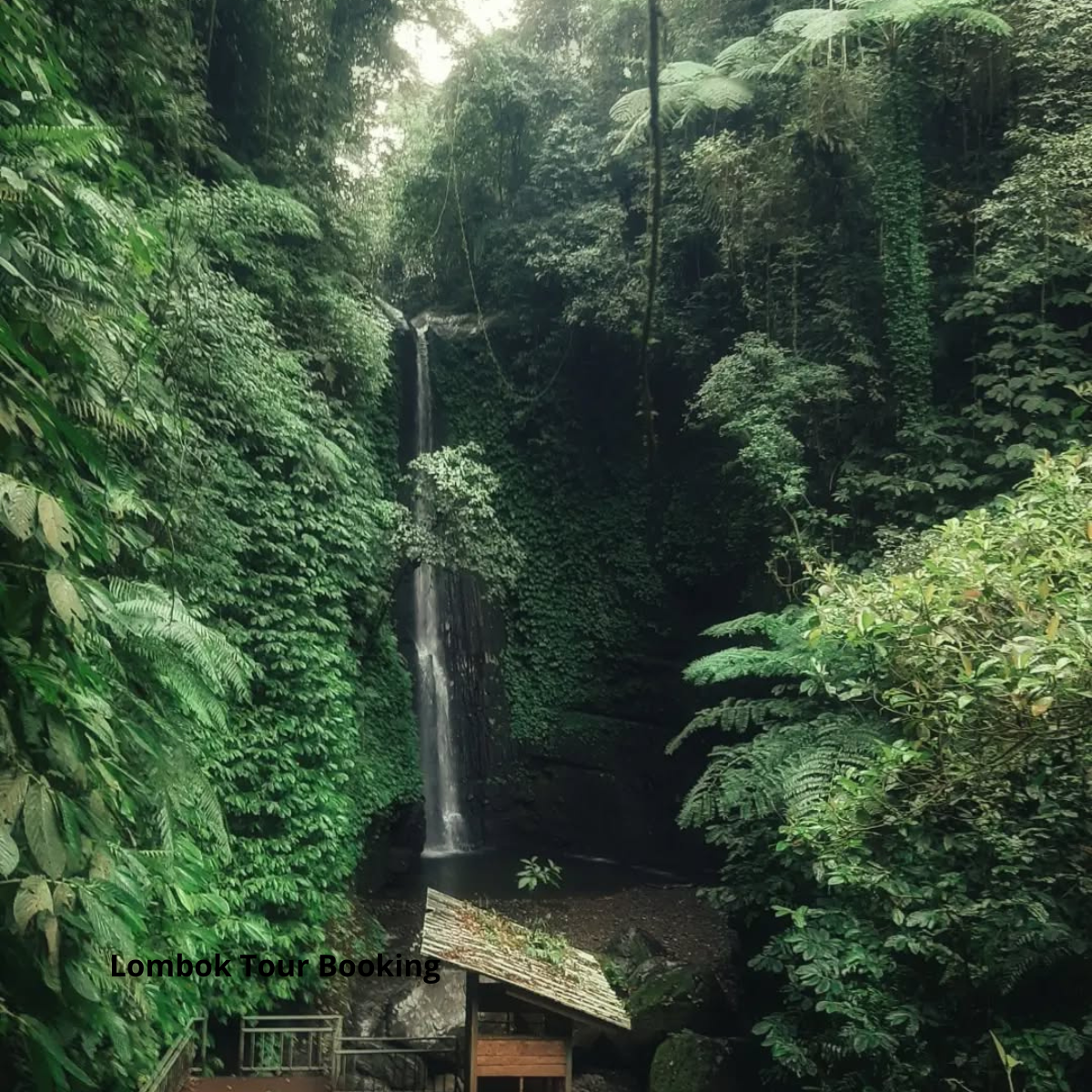 air terjun jeruk manis, wisata lombok, destinasi alam, air terjun rinjani, liburan lombok timur, tempat sejuk di lombok, wisata tersembunyi lombok