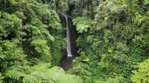 AIR TERJUN JERUK MANIS