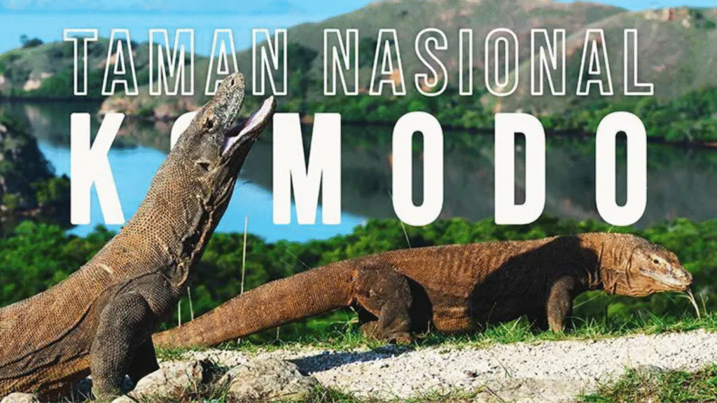 Pulau Komodo