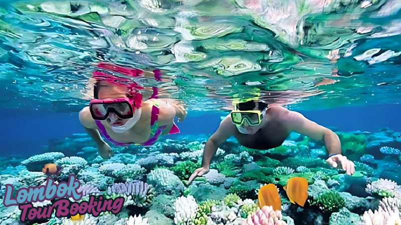 Gili Meno, Taman Terumbu Karang, Keindahan Bawah Laut