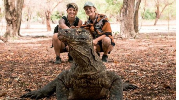 Komodo island