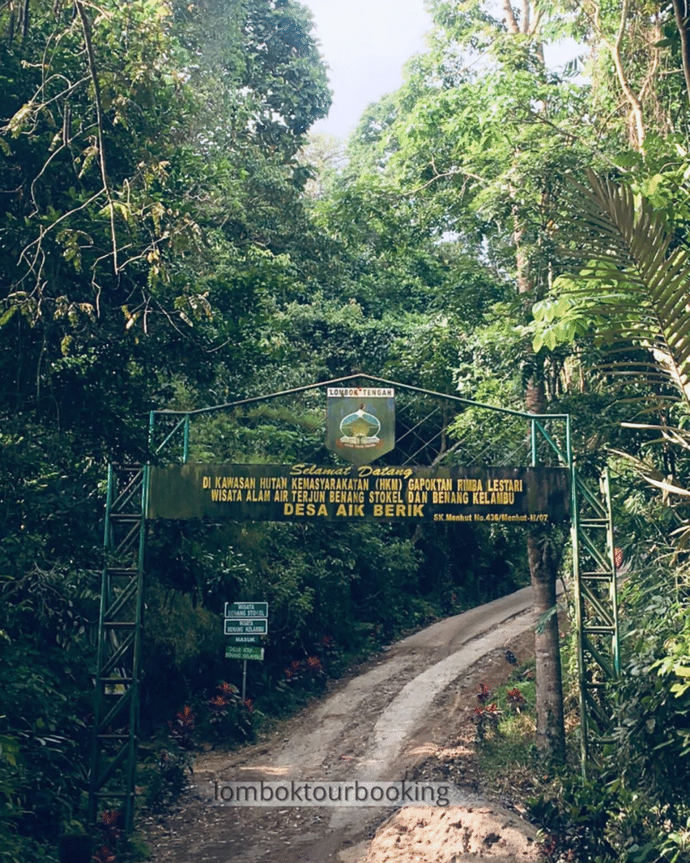 air terjun benang kelambu