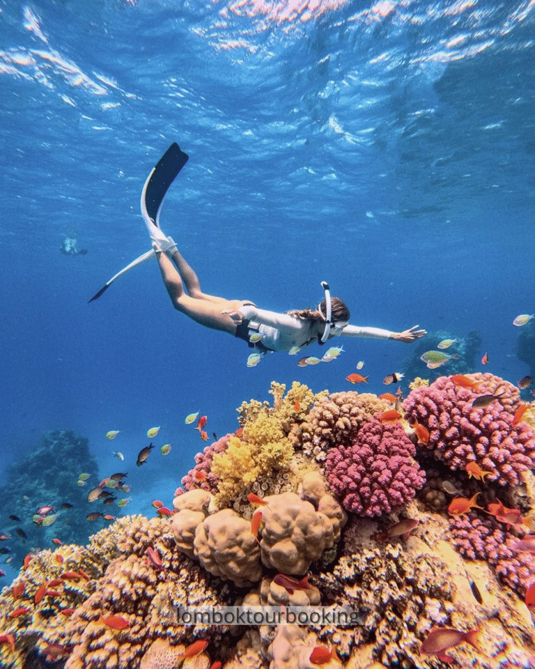 snorkeling