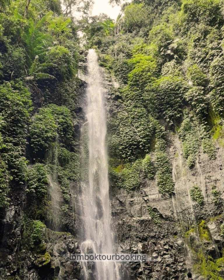 gunung rinjani