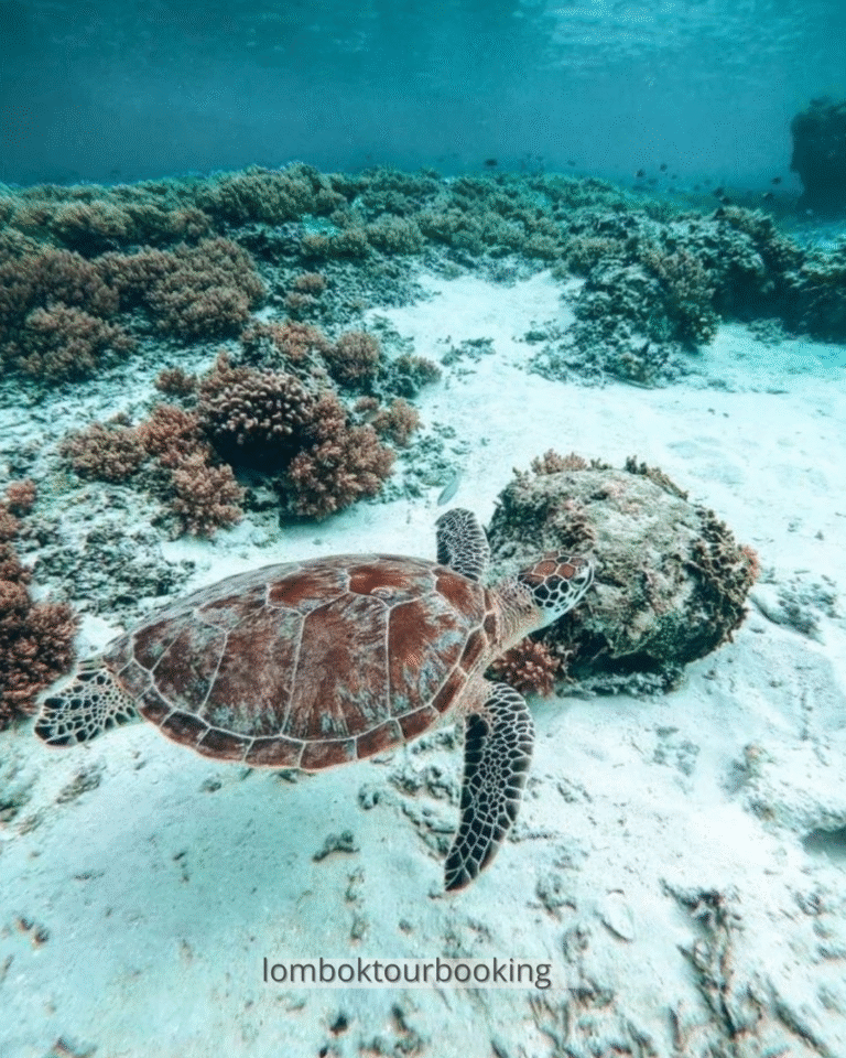 gili air