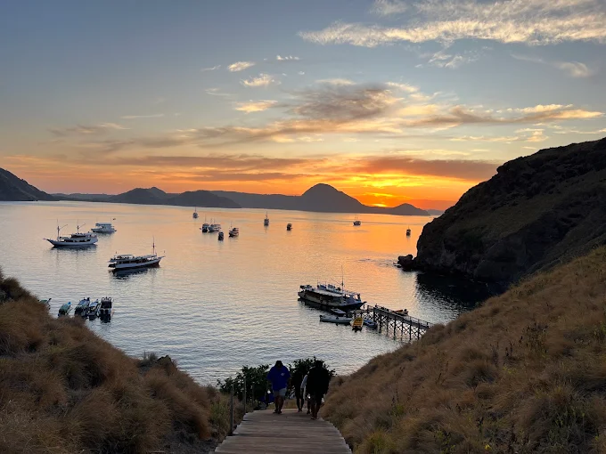 pulau padar