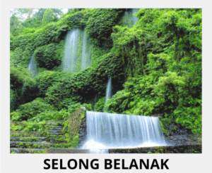 paket wisata sehari