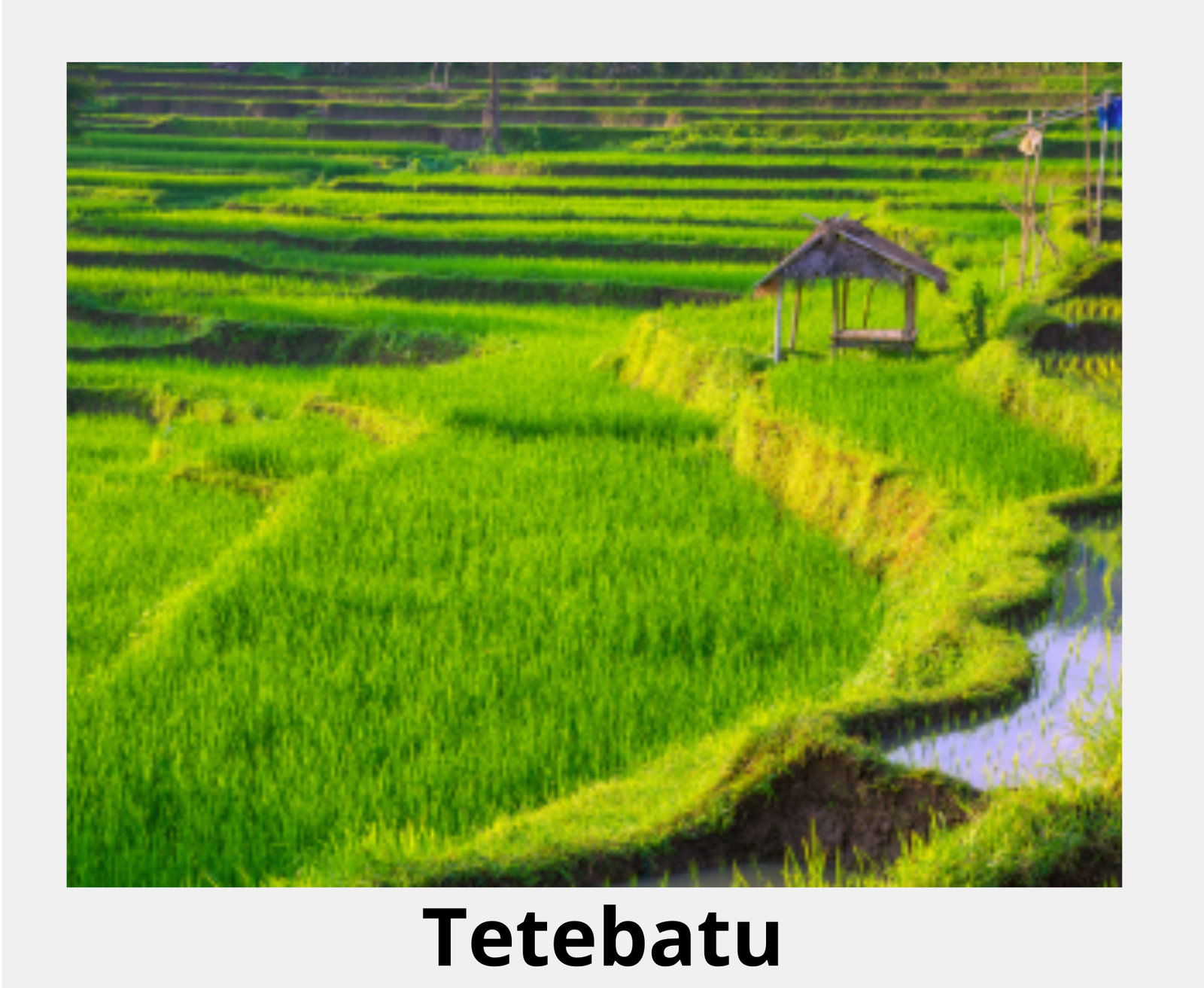 TETEBATU LOMBOK