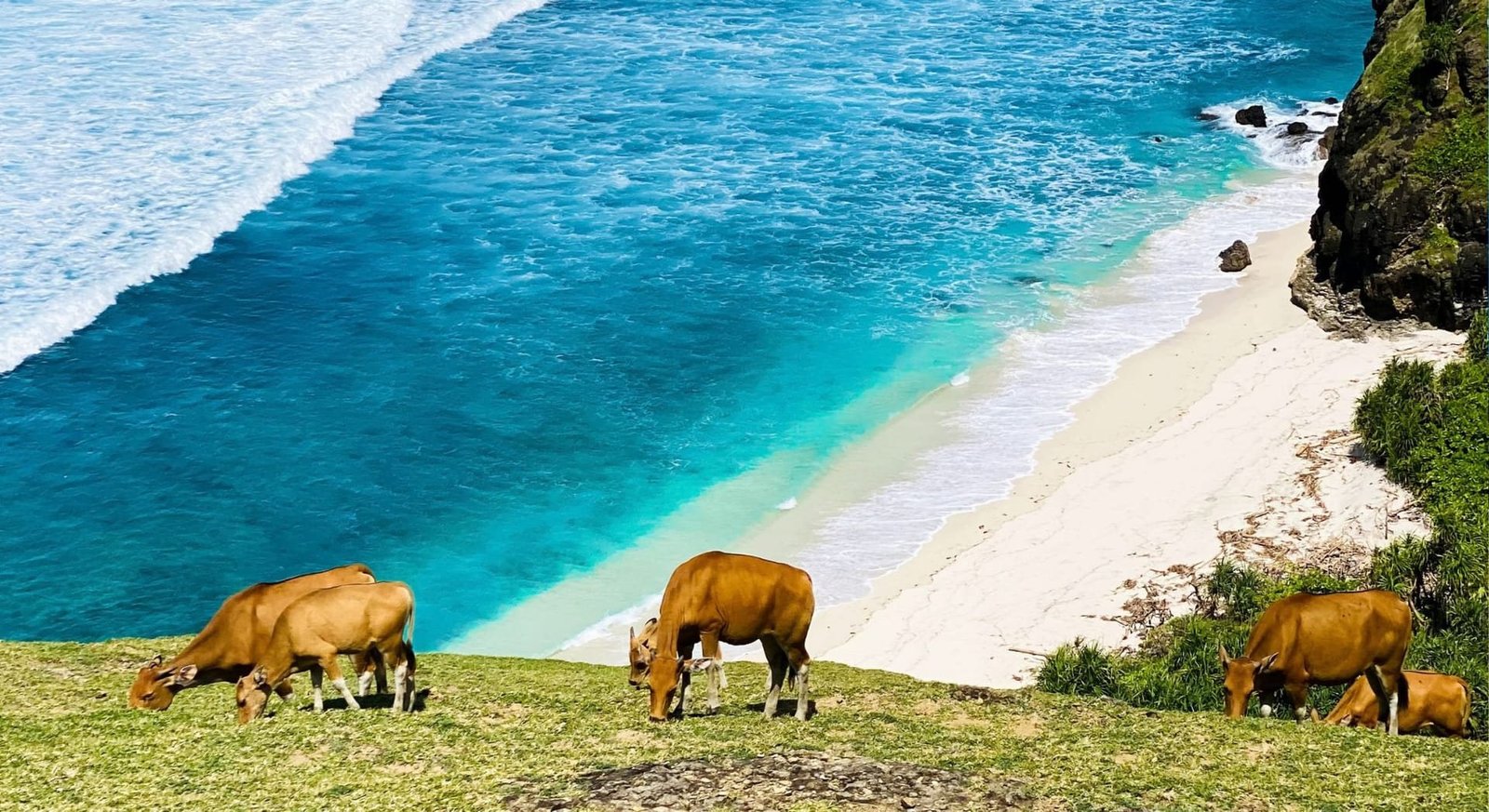 Gili Nanggu + Air Terjun